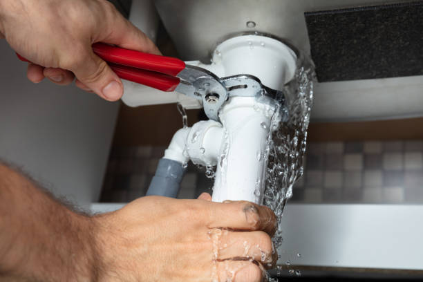 Best Flooded house restoration  in Rock Hall, MD