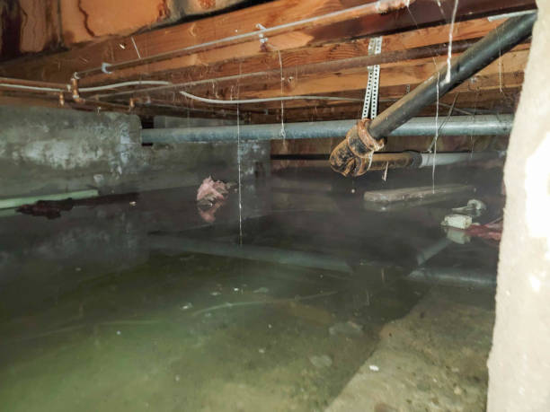 Water damage restoration experts in MD