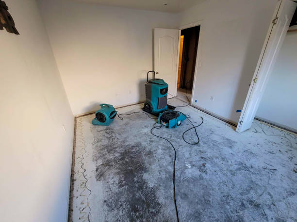 Best 24-hour water damage restoration  in Rock Hall, MD