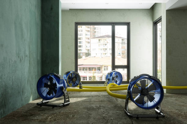 Best Water damage restoration near me  in Rock Hall, MD